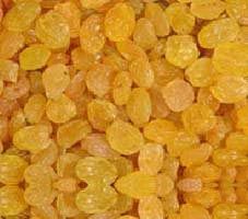 Yellow Raisins