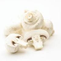 Fresh Mushroom