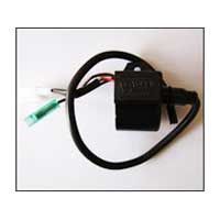 Electronic Ignition Parts 03