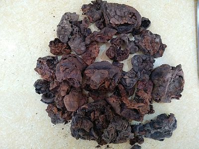 Mochras (Semal Gondh) 02