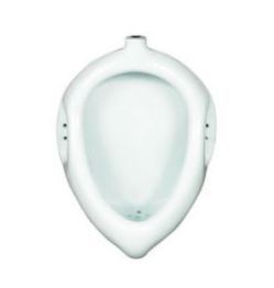 Flat Back Urinal