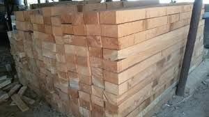 Cut Size Neem Wood 01