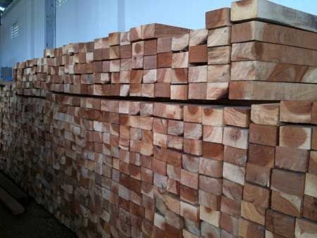 Cut Size Neem Wood 04