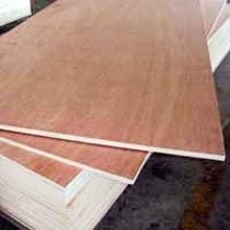 Gurjan Plywood