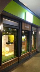 Out Door Vertical Green Wall