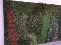 Reception Artificial Green Wall