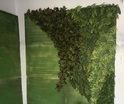 Reception Artificial Green Wall