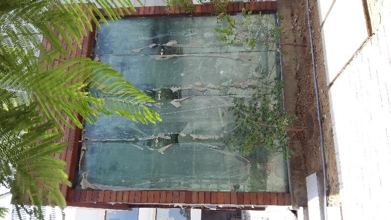 Jumbo Laminated Glass 10
