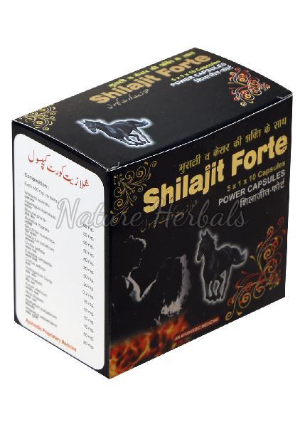 Shilajit Forte Capsules 02