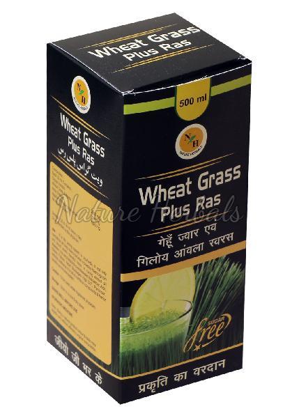 Wheat Grass Plus Ras 03