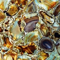 Bron Agte Back Light