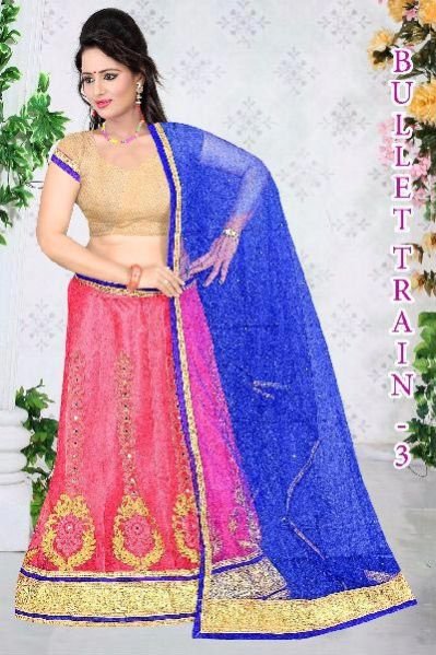 Embroidered Lehenga Choli 05