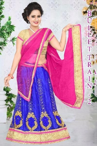 Embroidered Lehenga Choli 14