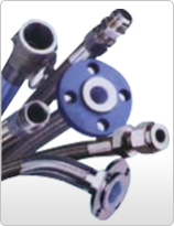 PTFE Flexible Hose 01