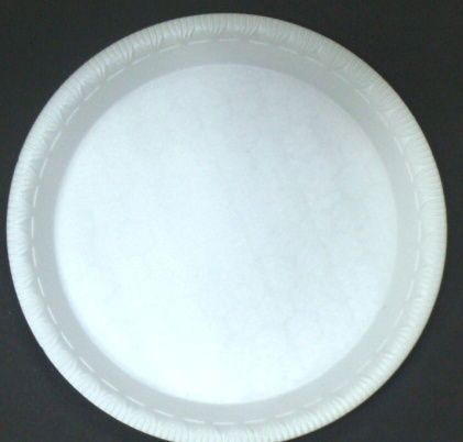 10 Inch Plain Plate