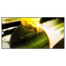 Degreasing & Cleaning the Screen