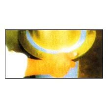 Photo Screen Emulsion