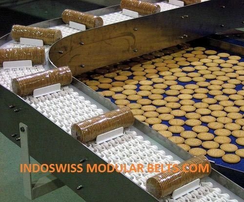 INCLINED CURVE BELT IS-93