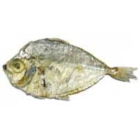 Dry Fish (Leognathus Sps)