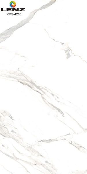 Design No. PMS - 4210