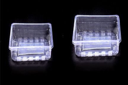 Disposable Thermoforming Containers 03