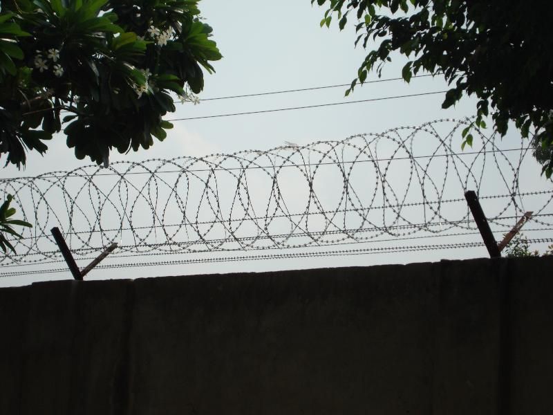 Razor Barbed Wire Fencing 01