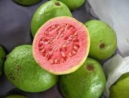 Fresh Guava