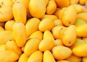 Fresh Mango