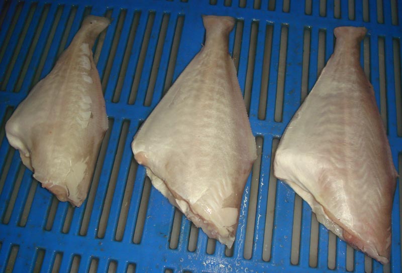 Item Code : DSC08891