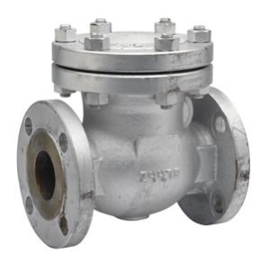 Check Valve 01
