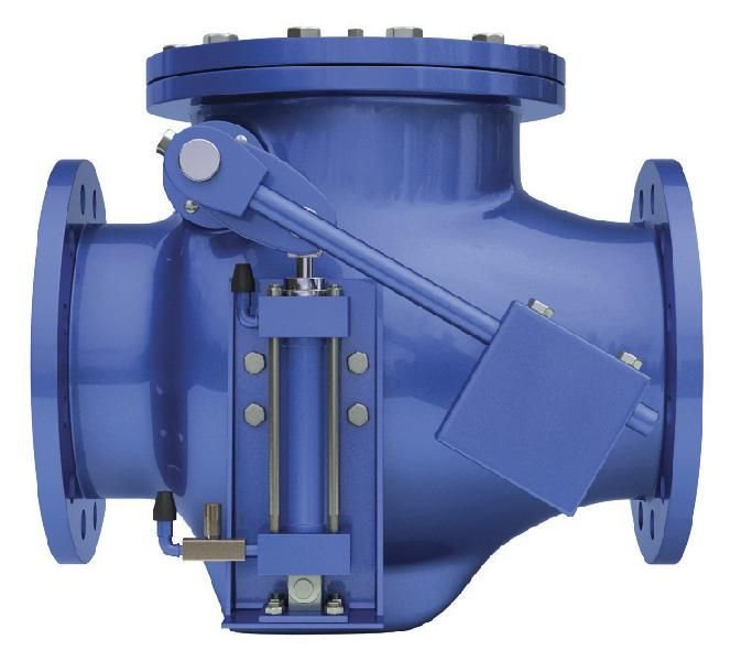 Check Valve 02