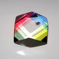 Animal Design Glass Paper Weight