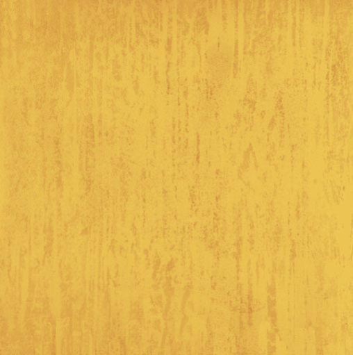 Ceramic Floor Tile 05