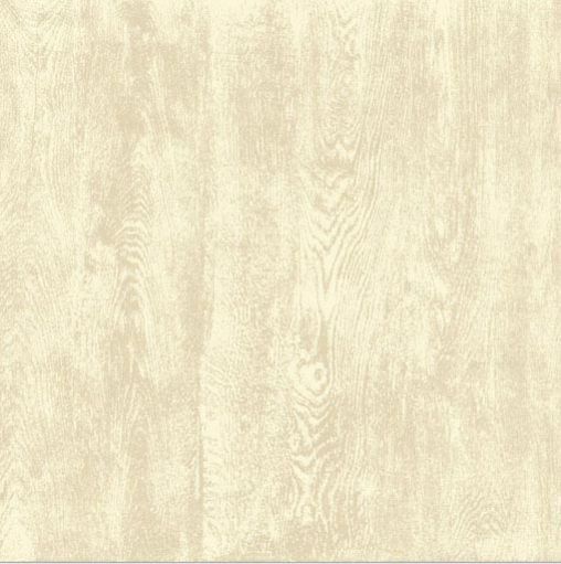 Ceramic Floor Tile 06