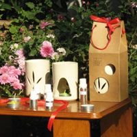 Aromatherapy Vaporizer (01)