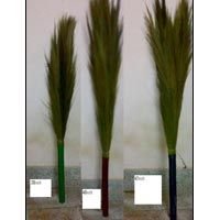 Grass Broom - 05