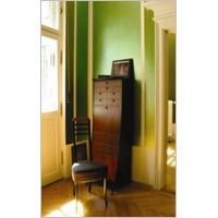 Metallic Emulsion Paint (01)