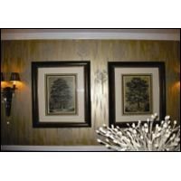 Metallic Emulsion Paint (03)