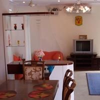 Nelson Acrylic Oil Bound Distemper (02)