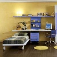 Nelson Acrylic Oil Bound Distemper (03)