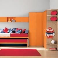 Nelson Acrylic Oil Bound Distemper (04)