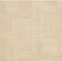 Ceramic Vitrified Tile (10001)