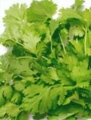 Green Beauty Coriander Seeds