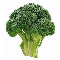 Broccoli