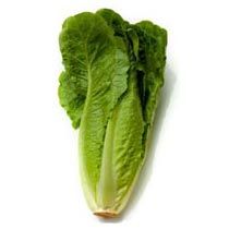 Romaine Lettuce