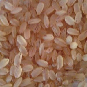 Brown Short Rice