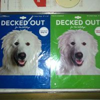 Printed Brochure (03)