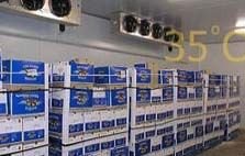 Cold Room Interior View