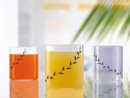 Vision Glass Black Krip