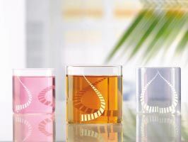 Vision Glass White Kurl